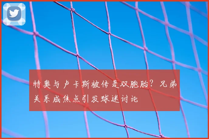 特奥与卢卡斯被传是双胞胎？兄弟关系成焦点引发球迷讨论