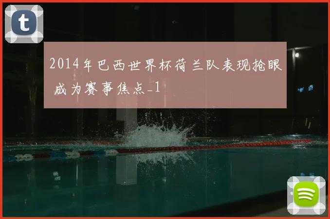 2014年巴西世界杯荷兰队表现抢眼 成为赛事焦点_1