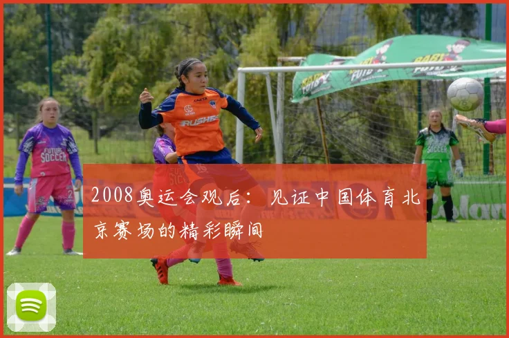 2008奥运会观后：见证中国体育北京赛场的精彩瞬间