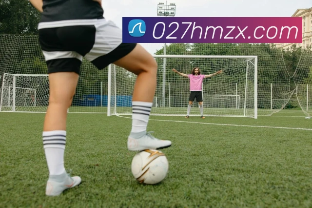 世界杯开户平台平台生态图